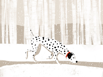 Snow dog dalmatian dog snow solstice winter
