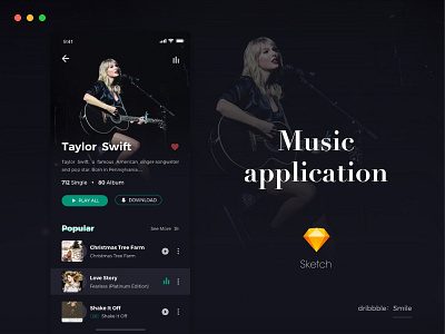 Music application app ui ui design 版式 用户界面 辅助 音乐
