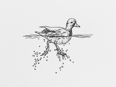 Inktober 2017 series animals doodles duck illustrations ink inktober sketch
