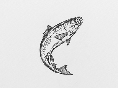 Inktober 2017 series animals doodles illustrations ink inktober salmon sketch