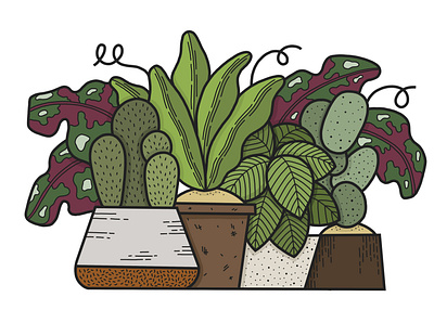 Packed Plants cactus ceramic earth eco fresh green illustration illustrator leaves plants pots sustainable