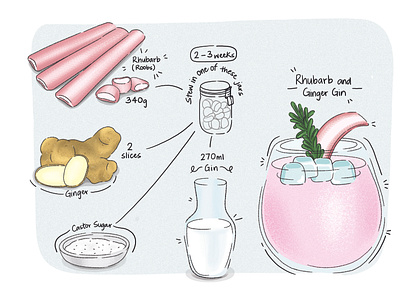 Rhubarb and Ginger Gin cocktail drink illustr illustration photoshop recipe