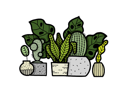 6 Plants cactus ceramic fresh gardener green illustration illustrator indoor leaves plants procreate sketch sustainable urban