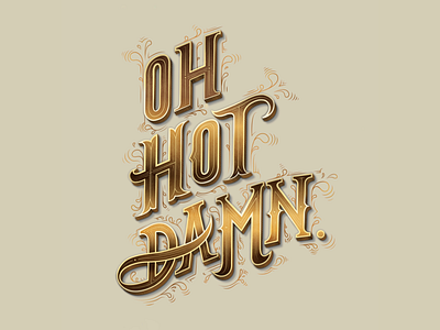 Oh Hot Damn design illustration lettering phrase type type design typography