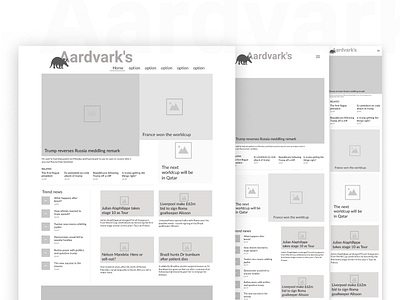 Aaardvark content design lab news responsive ui ux visual hierarchy wireframe