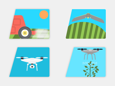 Illustration for an agro app