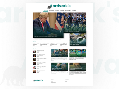 Aardvark product design ui ui design ux