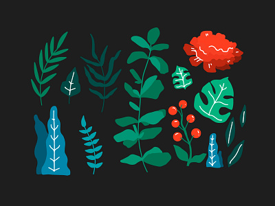 Plants abstract design illustration procreate vector