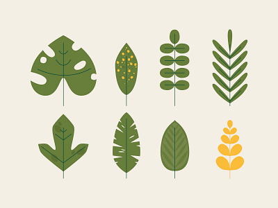 Flat plant design green illustration plant vector