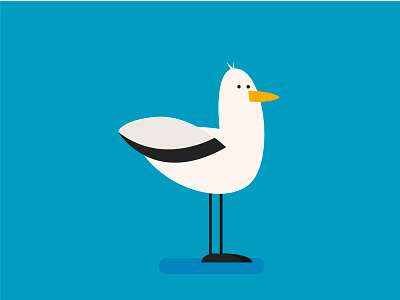 Gull bird design gull illustration vector