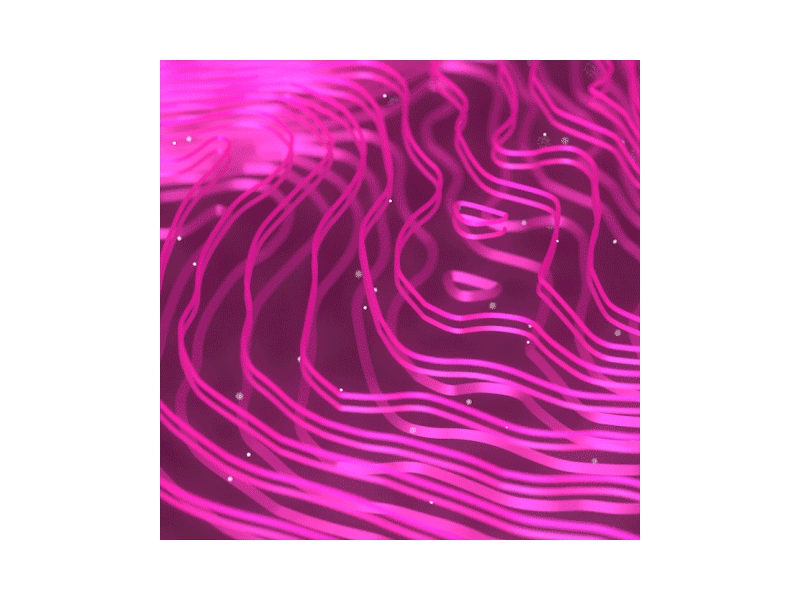Abstract abstract aftereffects c4d gif line lines motion pink spline