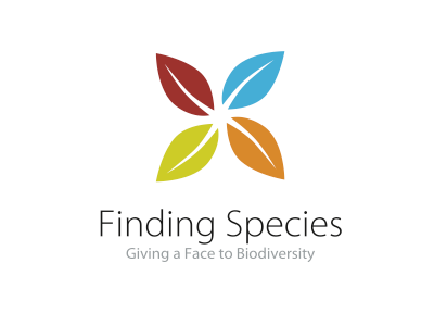 Finding Species Logo clean leaf logo nature
