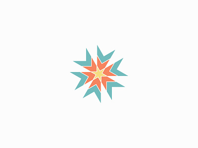 Star logo branding design graphic design illustration logo