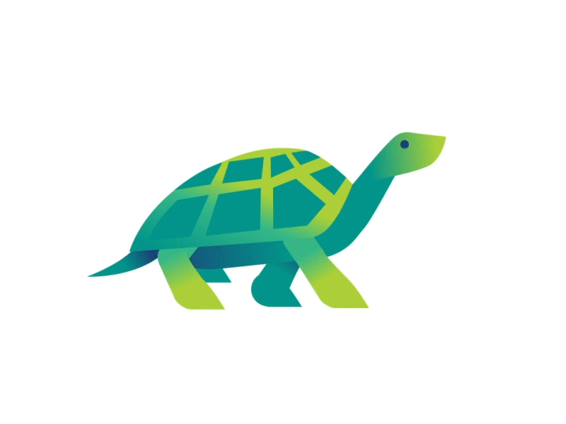 Turtle Walk (VMware Tanzu Easter Egg) aftereffects animation graphic design walkcycle