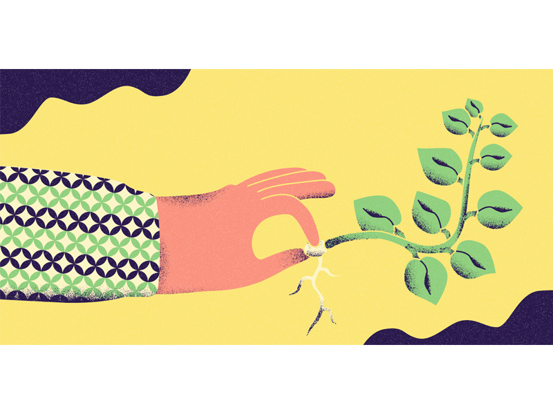 Idea Seed grain pattern hand idea seed plant graphic design pivotal digital illustration digital adobe illustrator illustrator illustration