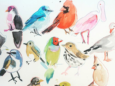 birdies illuatration watercolor