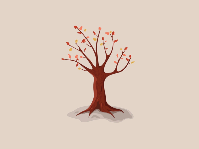 Circuit aftereffects fall illustration seasons spring tree winter