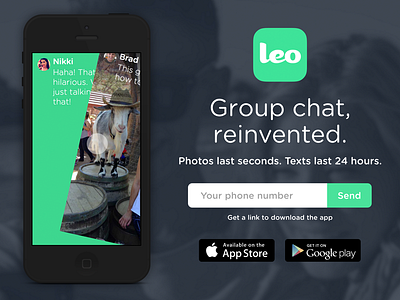Leo Splash Page animated chat demo ephemeral group landing leo splash