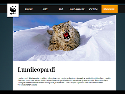 WWF Finland redesign concept demo finland live redesign wwf