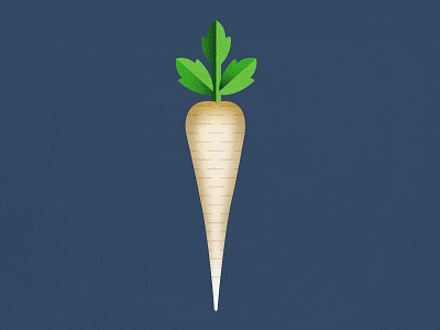 Illustration of a Parsnip