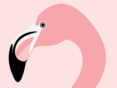 Flamingo Question 2