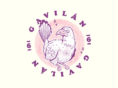 Eagle Gavilán animal character illustration lowbrow