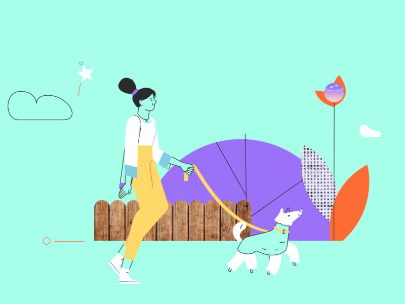 Dog Walking 2d 3d after effects animation character design explainer gif illustration motion graphics ourshack