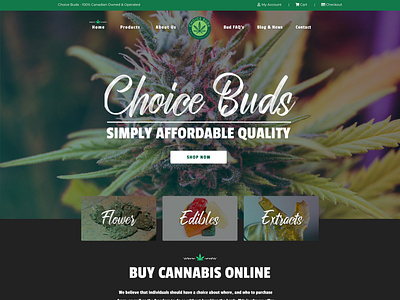 ChoiceBuds Homepage Design