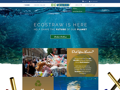 Eco-Friendly Straw Homepage eco friendly homepage layout recycle reusable ui ux website