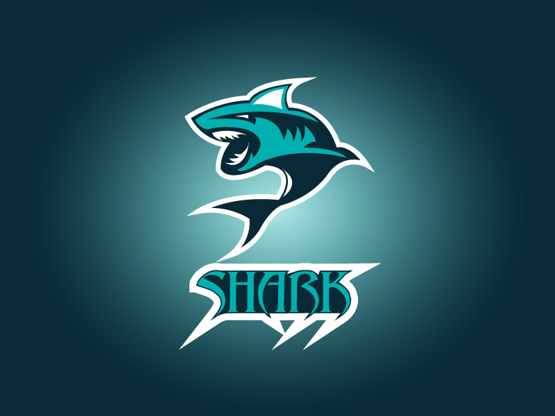 Shark Logo Concept Design branding web logo print design typography vector illustration design adobe illustrator creative design shark logo concept design