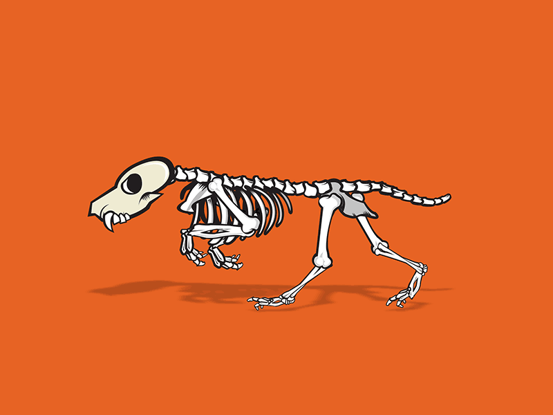 Megaton Mutt animation dog frames gif running skeleton skull vector