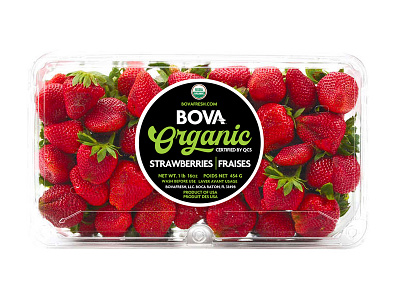 Bova Fresh Organic Strawberry Label bova bovafresh fraises label organic package produce strawberries strawberry vector
