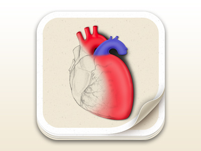 Heart Icon heart icon