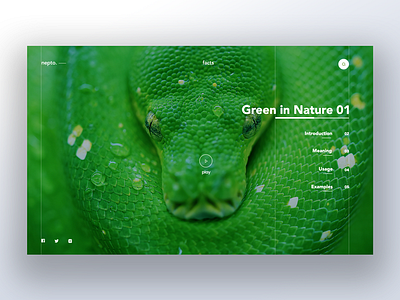 Green in Nature - the color series#02 clean composition graphic green hello invite landing layout minimal swiss typography video