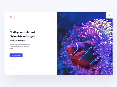 Finding Nemo Is Real clean deep sea deepsea findingnemo fish header layout minimal nemo ritzmo typography ui ux web