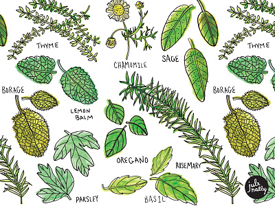 Herb Pattern editorial editorial illustration garden illustration herbs illustration pattern surface design