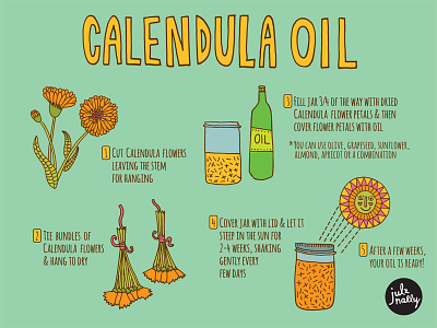 Calendula Oil Recipe calendula diy editorial editorial illustration garden graphic design herbs icons illustrated recipe illustration pattern surface design