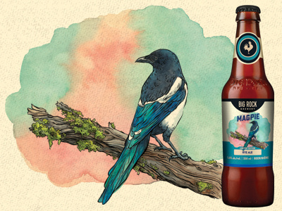 Magpie art beer bird illustration ink labels magpie packaging watercolor