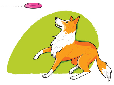 Collie & Frizbee collie digital illustration dog frizbee illustration