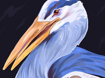 Blue Heron