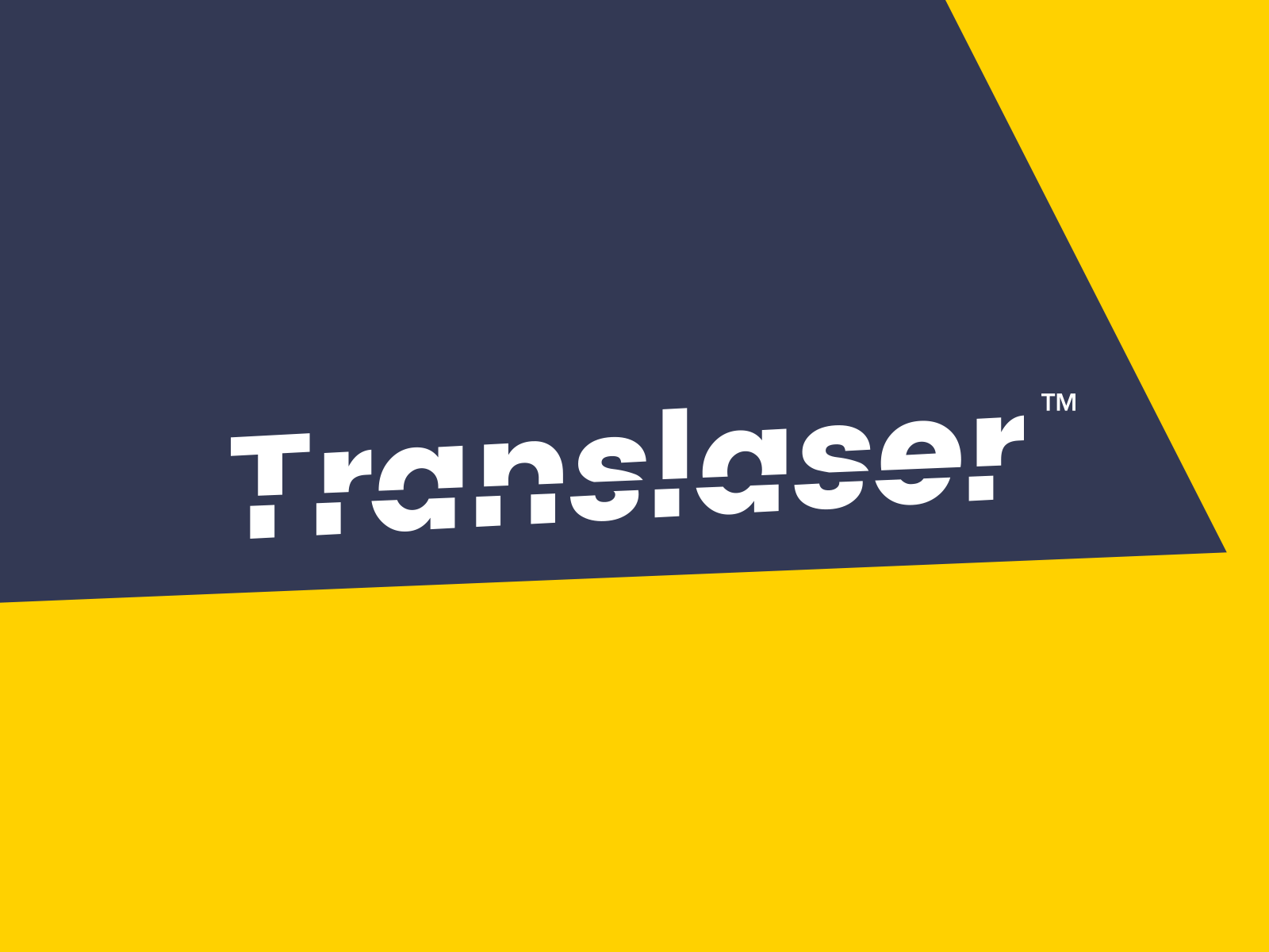 Translaser Logo branding leobeard lettering logo logotype