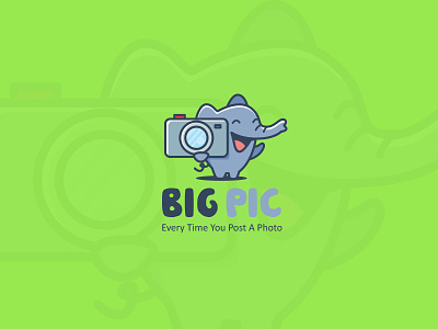 Big Picture Logo Design