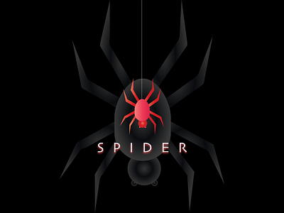 Spider Logo | Shadow Effect | Graphic Design