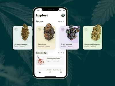 420 Catalogue App Concept 420 app concept ios marijuana mobile ui ux weed