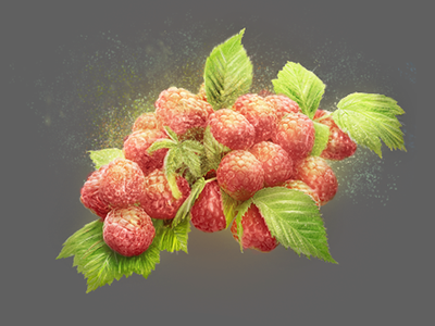 raspberries illustration painting photoshop retouching