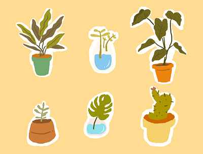 hits plant starter pack design design art illustration