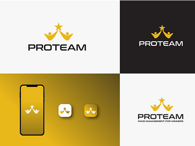 ProTeam branding design graphic design icon illustration logo logo logo design graphic design logo design logo icon logo logodeaign graphic logo webapp icon vector