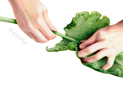 Hands & Kale for Real Simple food illustration mixed media painting realism traditional art watercolor