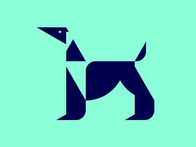 Afghan Hound picto afghan dog hound icon pictogram