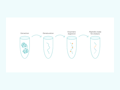 ProteiQ Biosciences GmbH bioscience graphic design infographic line art medicine process infographic protein